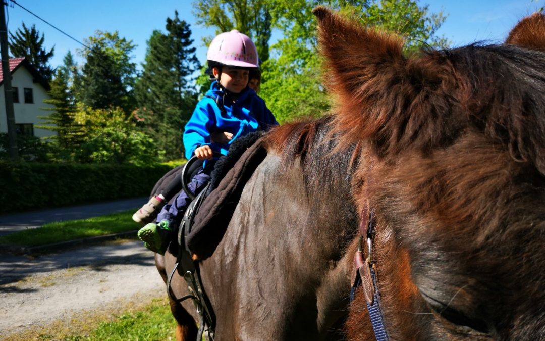 Kindertag bei den Marienkäfern
