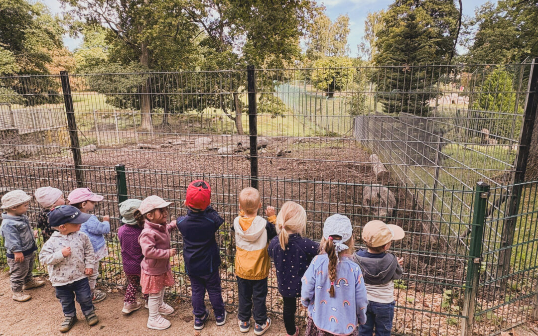 Ein Tag im Tierpark Hirschfeld