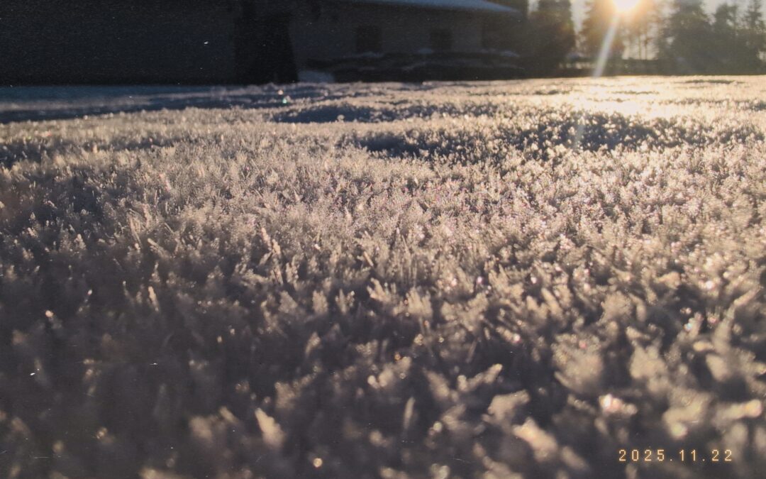 Schneemann, Schneemann, kalter Mann